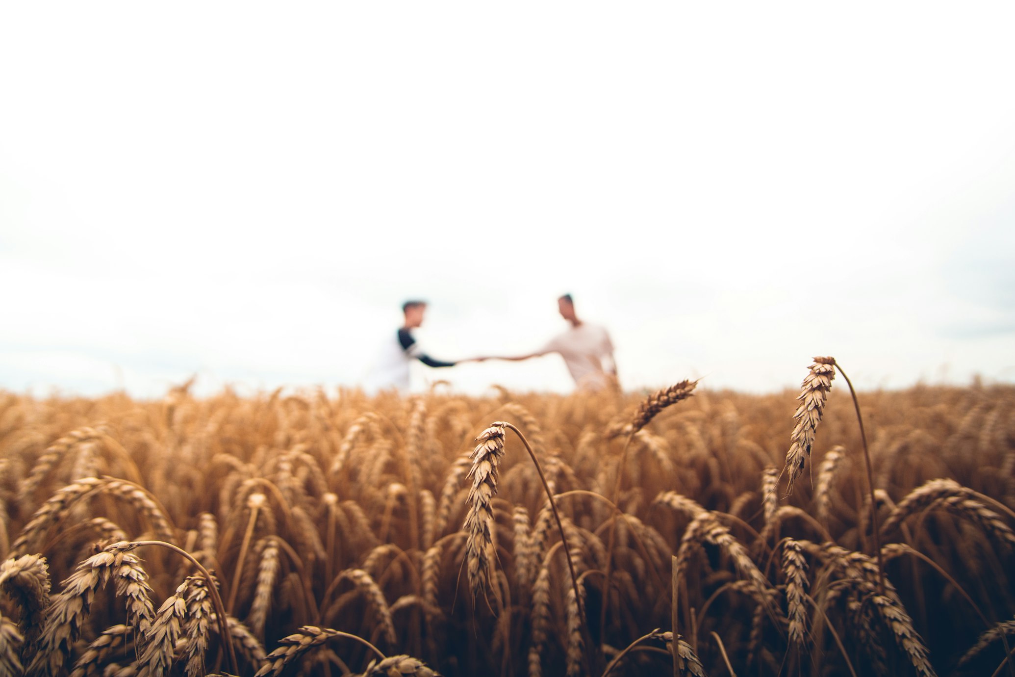 Seeds and tools for the work ahead
